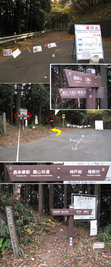 20171116hike (256)